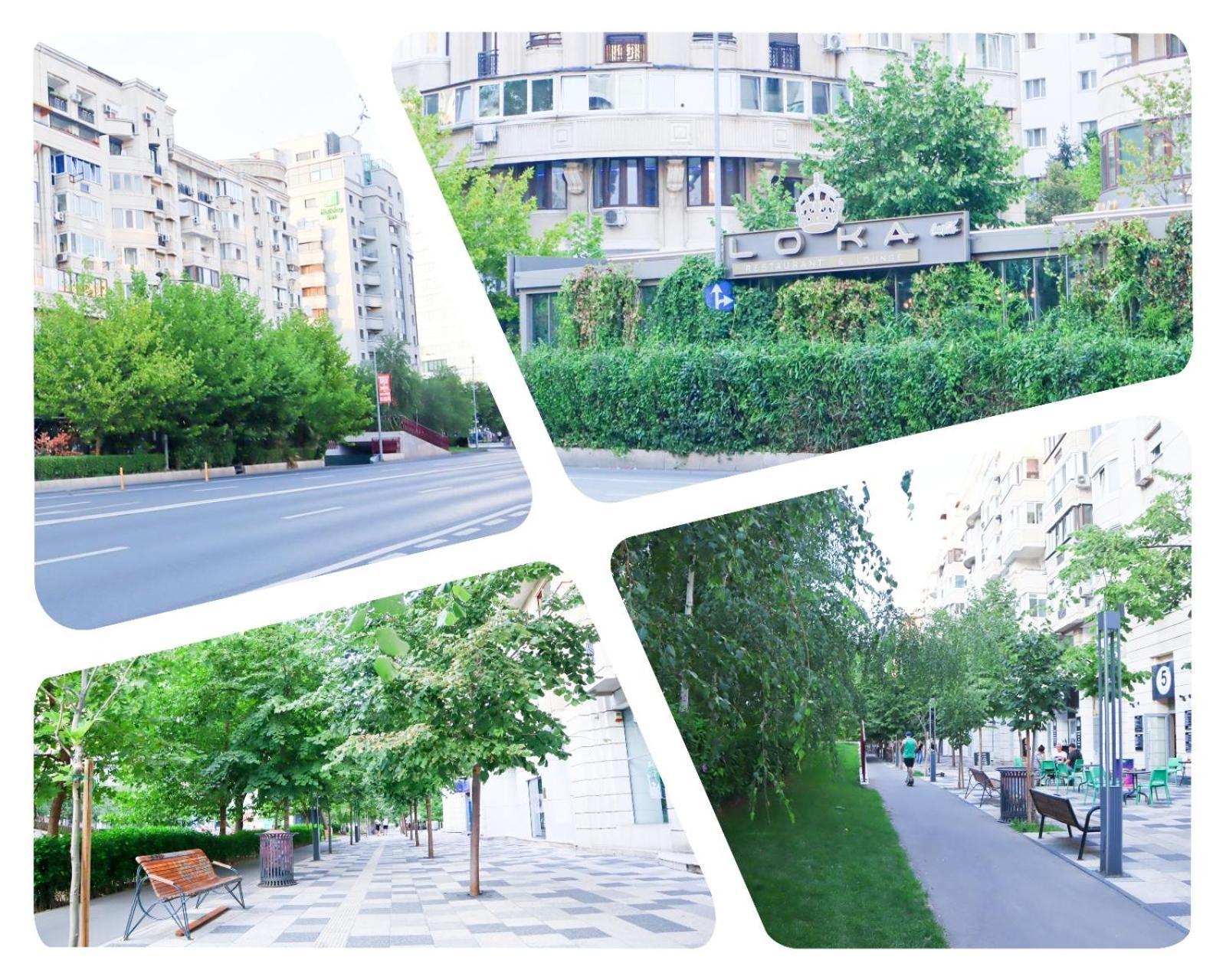 Central Apartament Bulevardul Decebal Букурещ Екстериор снимка